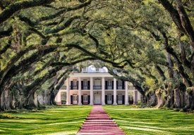 کوچه بلوط، عکس روز نشنال جئوگرافیک کوچه بلوط، عکس روز نشنال جئوگرافیک