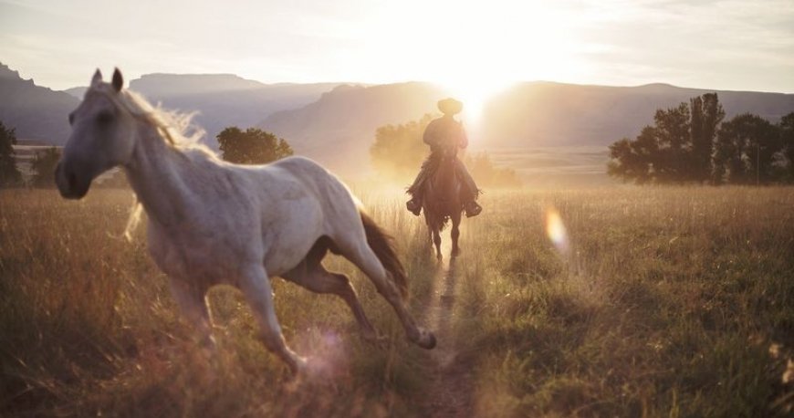 کابوی آمریکایی، عکس روز نشنال جئوگرافیک