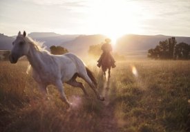 کابوی آمریکایی، عکس روز نشنال جئوگرافیک کابوی آمریکایی، عکس روز نشنال جئوگرافیک