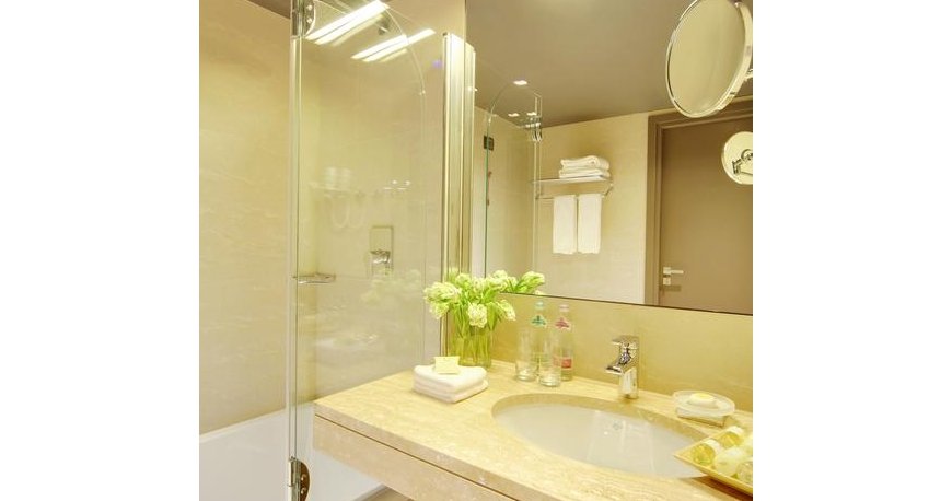 سرویس بهداشتی هتل دومینا پرستیژ سنت پترزبورگ سرویس بهداشتی هتل دومینا پرستیژ سنت پترزبورگ