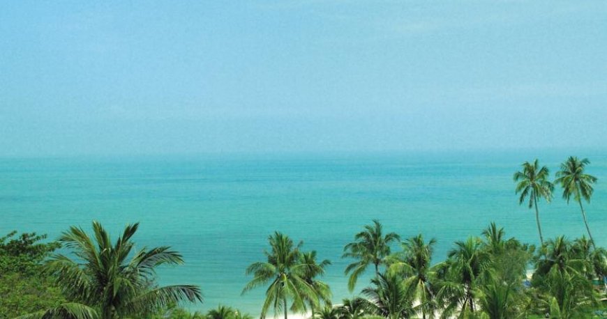 فضای سبز هتل گلدن سندز پنانگ فضای سبز هتل گلدن سندز پنانگ