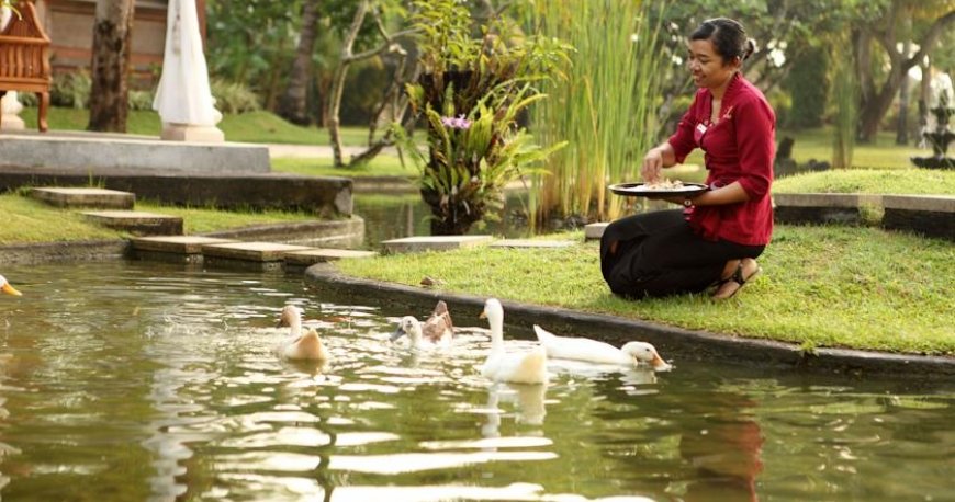 هتل نوسا دوا بیچ بالی