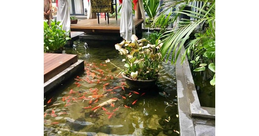 هتل وایت رز کوتا ریزورت بالی