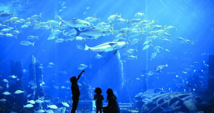 هتل آتلانتیس پالم جمیرا هتل آتلانتیس پالم جمیرا