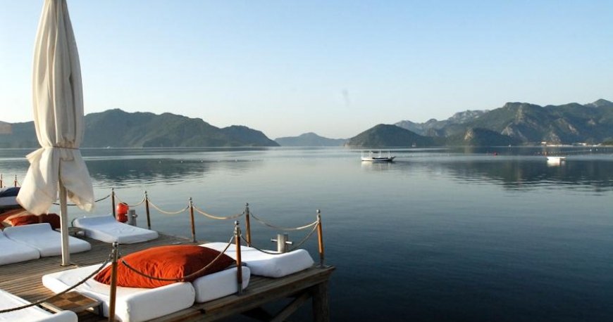 هتل الگانس اینترنشنال