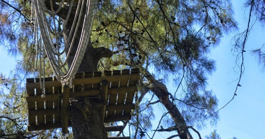 هتل گرند یازیکی کلاب تربان