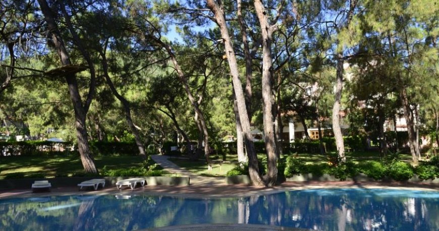 استخر هتل گرند یازیکی کلاب تربان