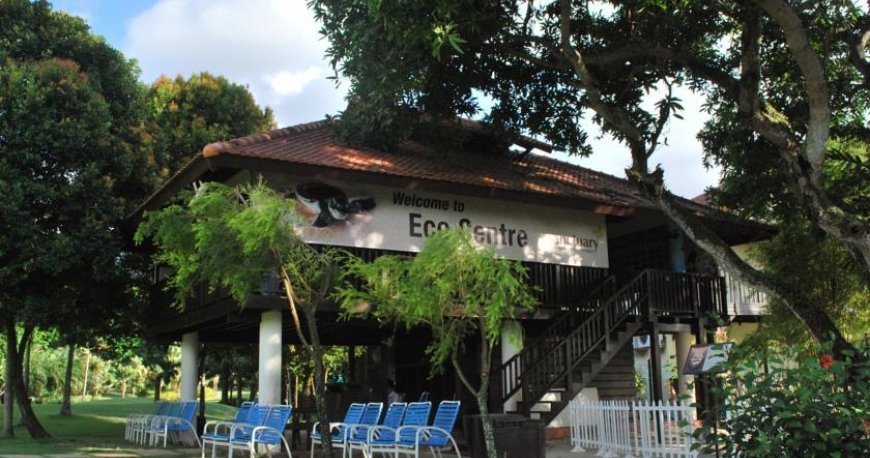 استخر هتل گلدن سندز پنانگ استخر هتل گلدن سندز پنانگ