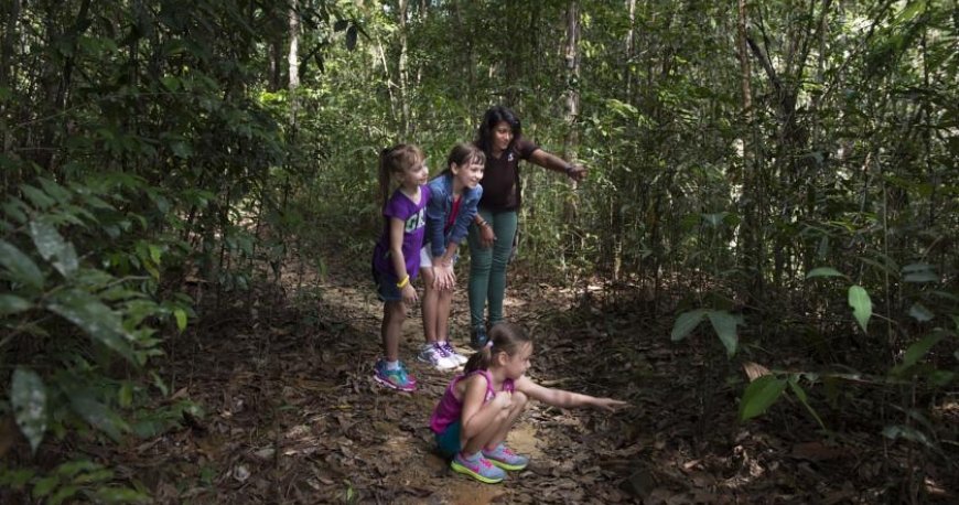 هتل داتای لنکاوی