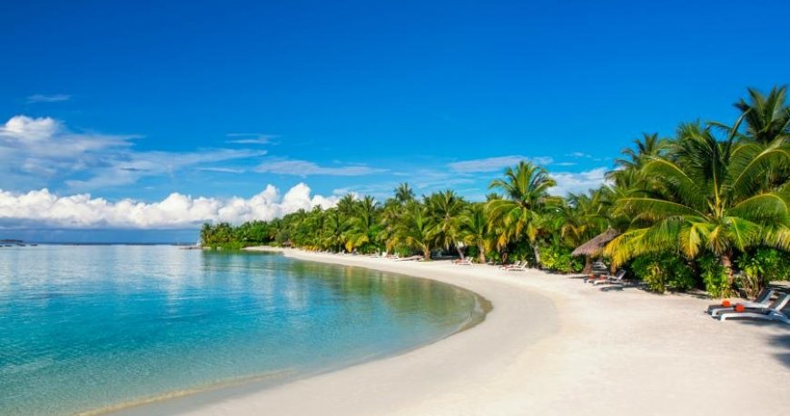 ساحل هتل شرایتون مالدیو