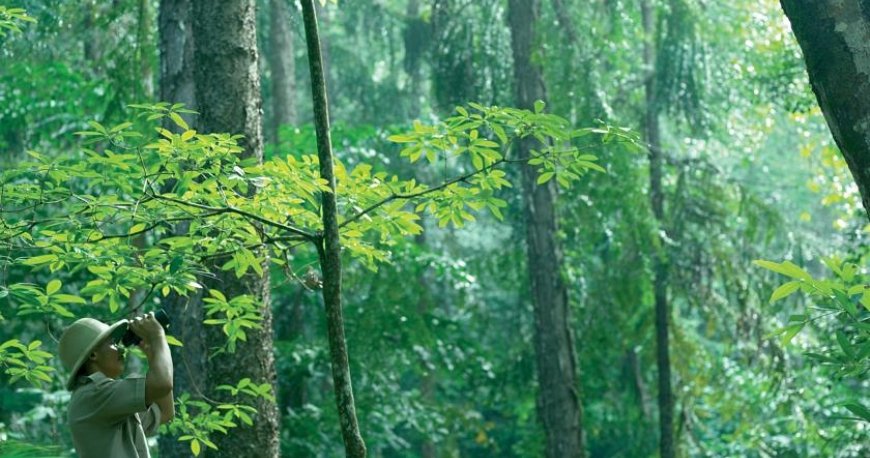 فضای سبز هتل گلدن سندز پنانگ فضای سبز هتل گلدن سندز پنانگ