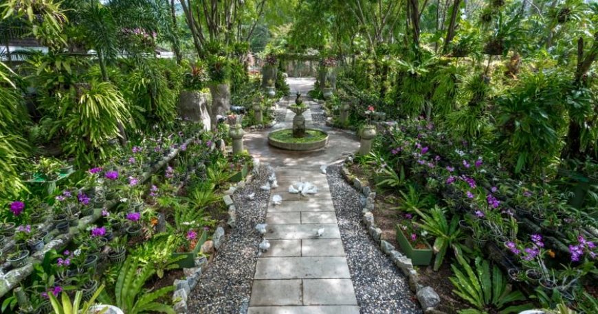 هتل تاورن پالم پیچ ریزورت هتل تاورن پالم پیچ ریزورت