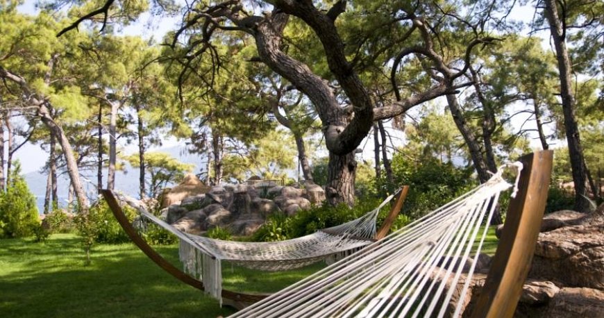 هتل گرند یازیکی کلاب تربان