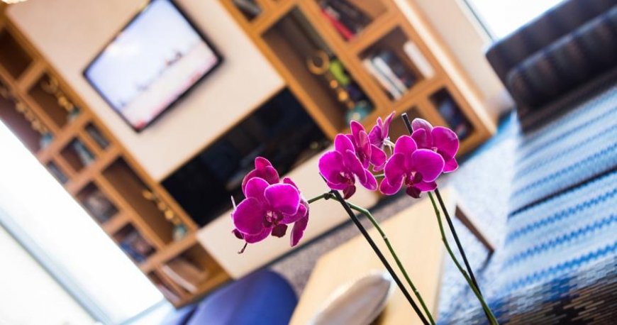 لابی هتل هیلتون گاردن این گلدن هورن لابی هتل هیلتون گاردن این گلدن هورن