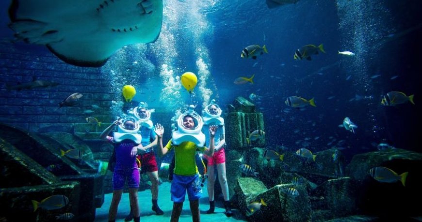 کیدز کلاب هتل آتلانتیس پالم جمیرا کیدز کلاب هتل آتلانتیس پالم جمیرا