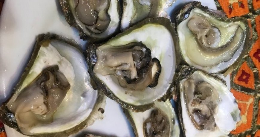 رستوران سلطان باربیکیو هاوس استانبول